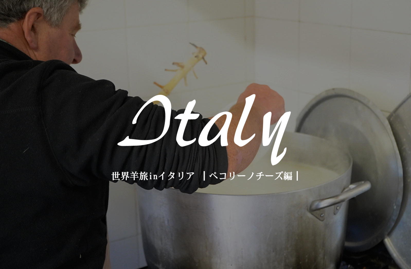 伝統製法の羊乳チーズ【イタリア/プラトヴェッキオ・スティーア】