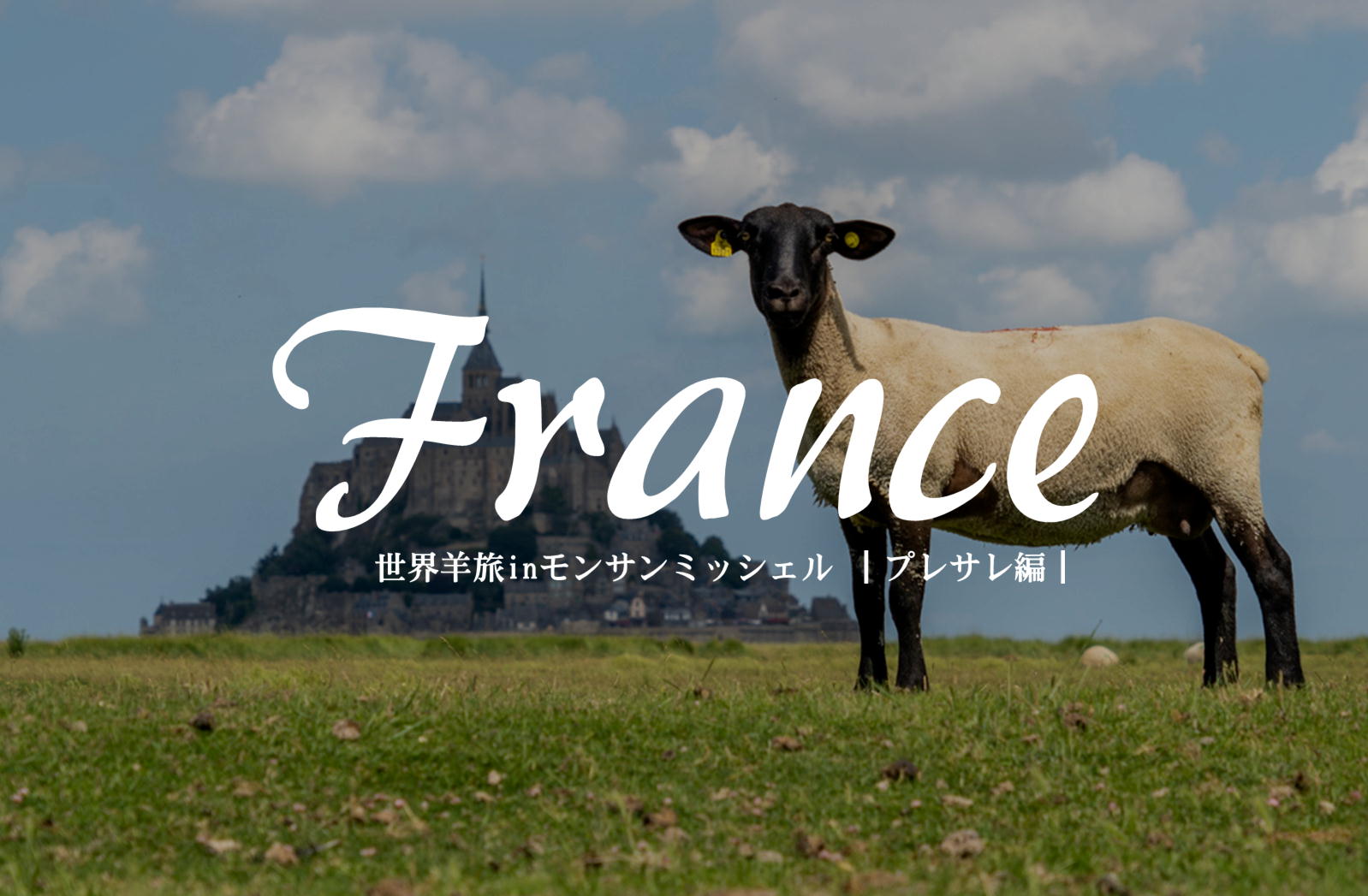 世界で最も有名なブランドラム プレサレ フランス モンサンミッシェル 世界羊旅
