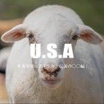 世界羊旅inアメリカ「ニューヨーク＆テキサス」