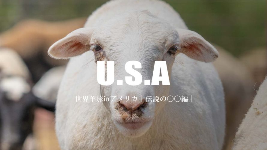 世界羊旅inアメリカ「ニューヨーク＆テキサス」
