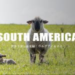 世界羊旅in南米編「ウルグアイ・チリ」